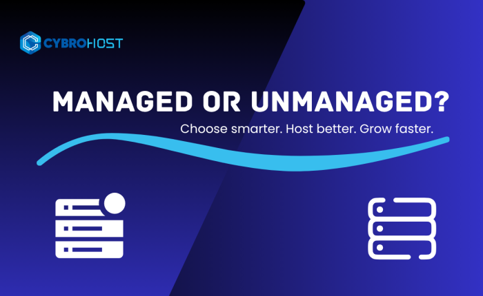 managed vs unmanaged hosting comparison for business websites